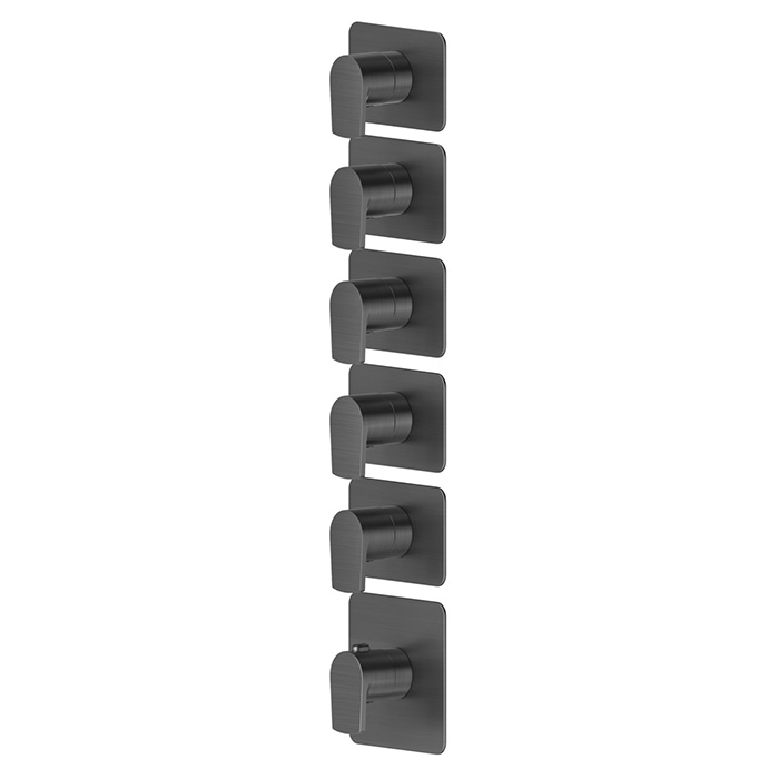 Newform Haka Смеситель для душа, термостатический, на 5 потоков, цвет: PVD brushed gun metal