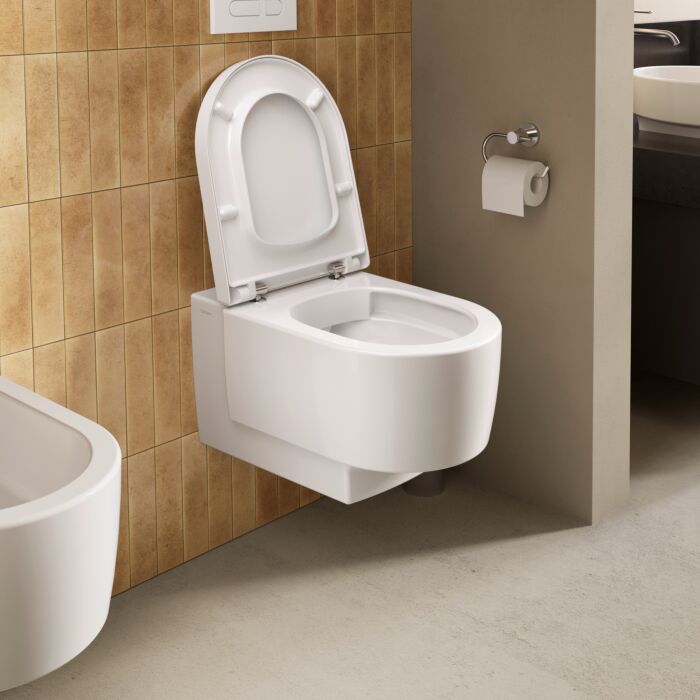 Duravit Balcoon Сиденье для унитаза, с микролифтом, цвет: сталь/белый глянцевый