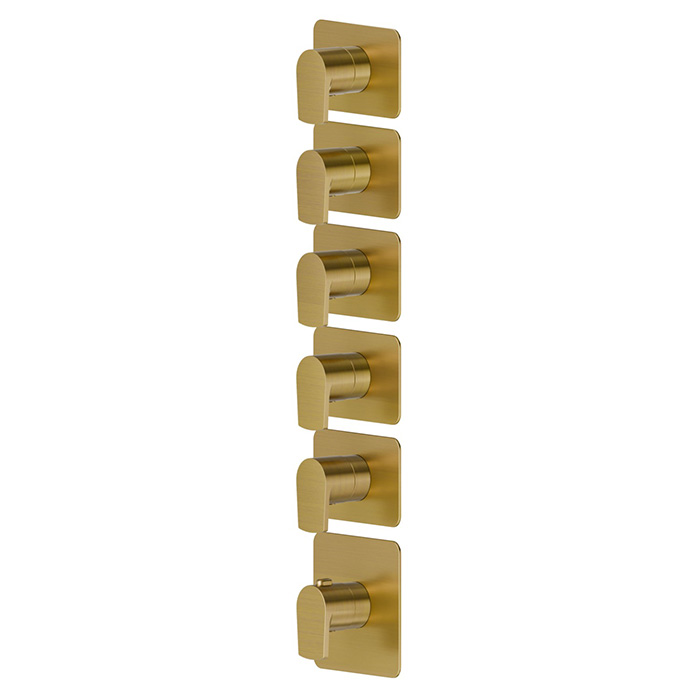Newform Haka Смеситель для душа, термостатический, на 5 потоков, цвет: PVD brushed gold