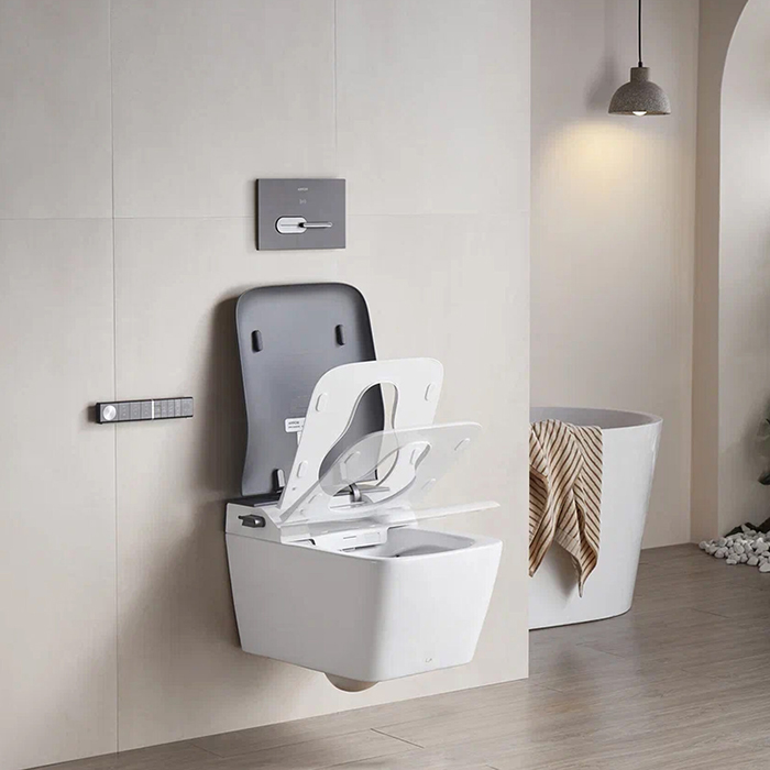 Arrow Glacier Унитаз Smart с функцией биде, 41x60см, подвесной, безободковый, клавиша смыва, цвет: белый / серый