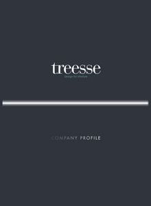 TREESSE Брошюра о компании 2024