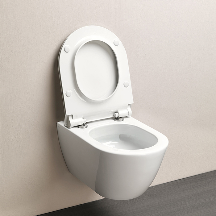 GSI Pura Унитаз подвесной 55х36см., Swirlflush с креплением, безободковый, цвет: белый глянцевый