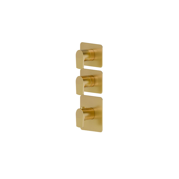 Newform Haka Смеситель для душа, термостатический, на 2 источника, цвет: PVD brushed gold