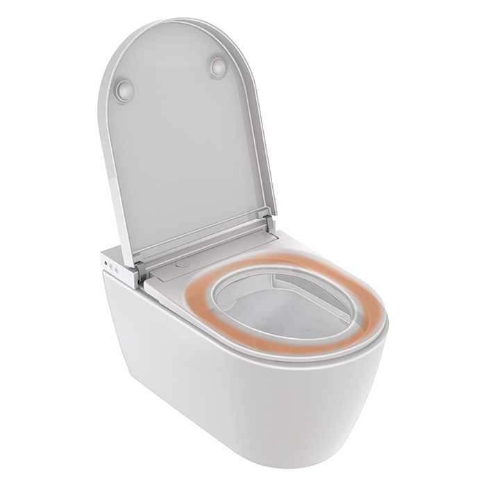 Duravit Starck F Plus Унитаз подвесной, безободковый, с сиденьем Sensowash Pro, покрытие Hygieneglaze, цвет: белый