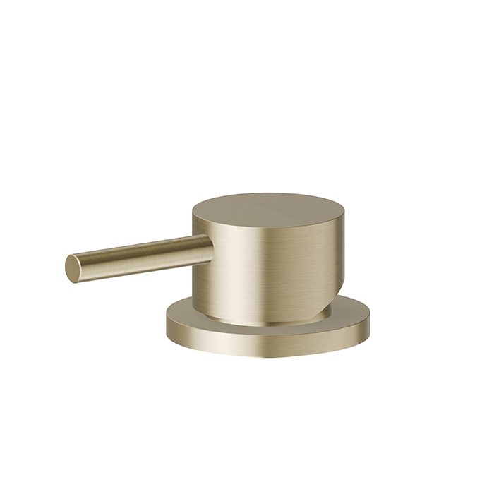 Newform X-Steel 316 Смеситель для раковины (управление), цвет: PVD Br. Pale Gold