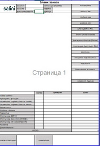 SALINI Бланк заказа Domino (XLSX)