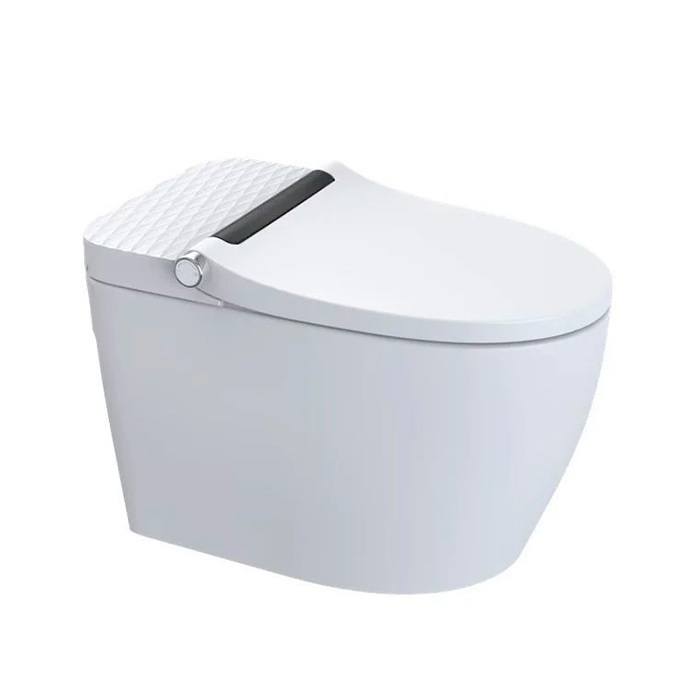 Arrow Pollux Унитаз Smart с функцией биде, 40x68см, напольный, безободковый, цвет: белый