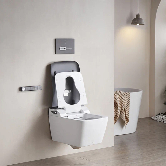 Arrow Glacier Унитаз Smart с функцией биде, 41x60см, подвесной, безободковый, клавиша смыва, цвет: белый / серый