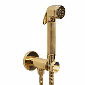 Bossini Nikita Гигиенический душ с прогрессивным смесителем, лейка металлическая, шланг металлический, цвет: золото