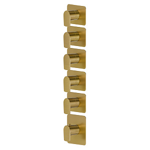 Newform Haka Смеситель для душа, термостатический, на 5 потоков, цвет: PVD brushed gold
