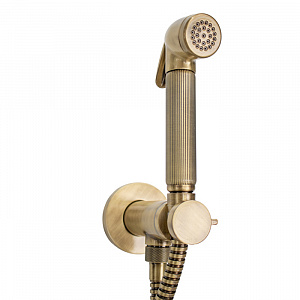 Bossini Nikita Гигиенический душ с прогрессивным смесителем, лейка металлическая, шланг металлический, цвет: бронза