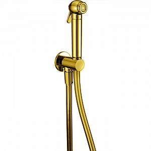CISAL Shower Гигиенический душ со шлангом 120 см,вывод с держателем, цвет: золото