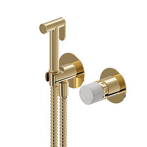 Newform Ionika allure bagno Внешняя часть прогрессивного смесителя с гигиеническим душем, цвет: PVD glossy gold