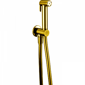 CISAL Shower Гидроершик со шлангом 120 см,вывод с держателем, цвет: золото