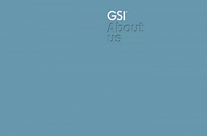 Презентация компании GSI