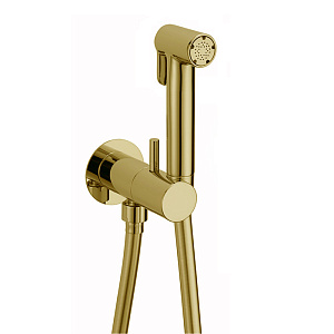 Cisal Shower Гигиенический душ, со шлангом 120см., вывод с держателем и встроенный прогрессивный картридж, лейка латунь, цвет: золото