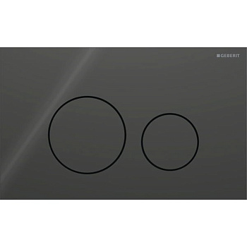 Geberit Sigma40 Клавиша для двойного смыва, круглая: Черный