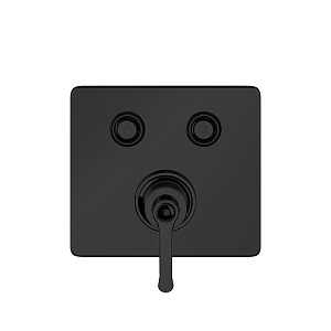 Gessi Hi-Fi Eclectic Смеситель для душа настенный встраиваемый, однорычажный, с 2 запорными кнопками, цвет: черный матовый