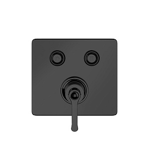 Gessi Hi-Fi Eclectic Смеситель для душа, встраиваемый, с 2 запорными кнопками, цвет: Black XL