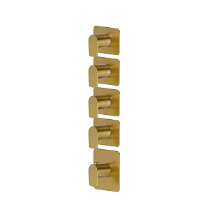 Newform Haka Смеситель для душа, термостатический, на 4 потока, цвет: PVD brushed gold