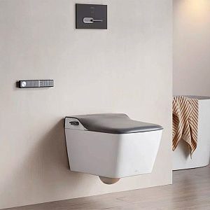 Arrow Glacier Унитаз Smart с функцией биде, 41x60см, подвесной, безободковый, клавиша смыва, цвет: белый / серый