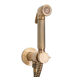 Bossini Nikita Гигиенический душ с прогрессивным смесителем и шлангом 125см., цвет: бронза
