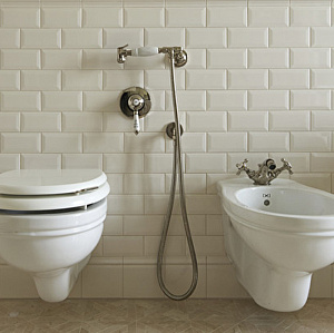 Devon&Devon Гигиенический душ с держателем, шлангом и выпуском из стены, с ручкой белой, цвет: бронза