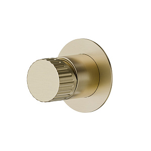 Newform Steel Line Смеситель для душа, встраиваемый, на 1 выход, цвет: PVD Brushed pale gold