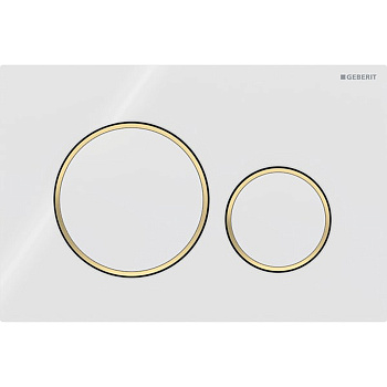 Geberit Sigma20 Клавиша для двойного смыва, круглая, цвет: белый/позолота